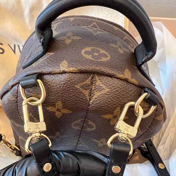 LOUIS VUITTON (LV) PALM SPRINGS MINI BACKPACK - Picture 4 of 14
